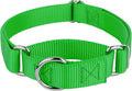 Country Brook Petz - Martingale Dog Collar - Heavy-Duty Training Collar with No Buckle - Service Dog Collar for All Pups - 10+ Cool Colors (Hot Green, 3/4 Inch, Small)