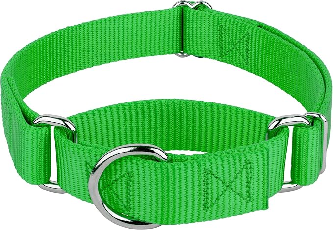 Country Brook Petz - Martingale Dog Collar - Heavy-Duty Training Collar with No Buckle - Service Dog Collar for All Pups - 10+ Cool Colors (Hot Green, 3/4 Inch, Small)