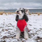 CuteBone Christmas Dog Sweater Dress Turtleneck Puppy Sweater with Bowtie Harness Hole Pullover Winter Dress for Small Dogs