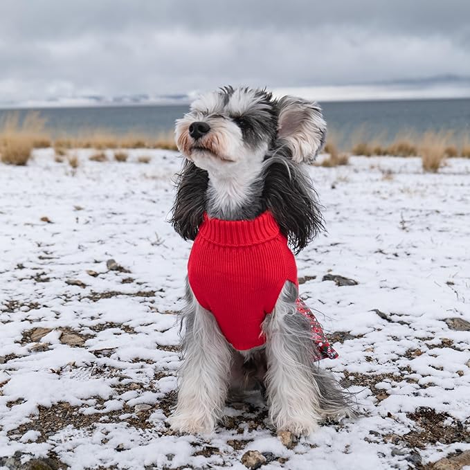 CuteBone Christmas Dog Sweater Dress Turtleneck Puppy Sweater with Bowtie Leash Hole Pullover Winter Dress for Small Dogs