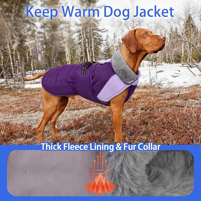 MIGOHI Snowproof Dog Coat - Thick Fleece Dog Jacket with Adjustable Collar, Keep Warm Winter Coat for Medium Dogs Cold Weather Walking Playing,Australian Shepherd,XL,Purple