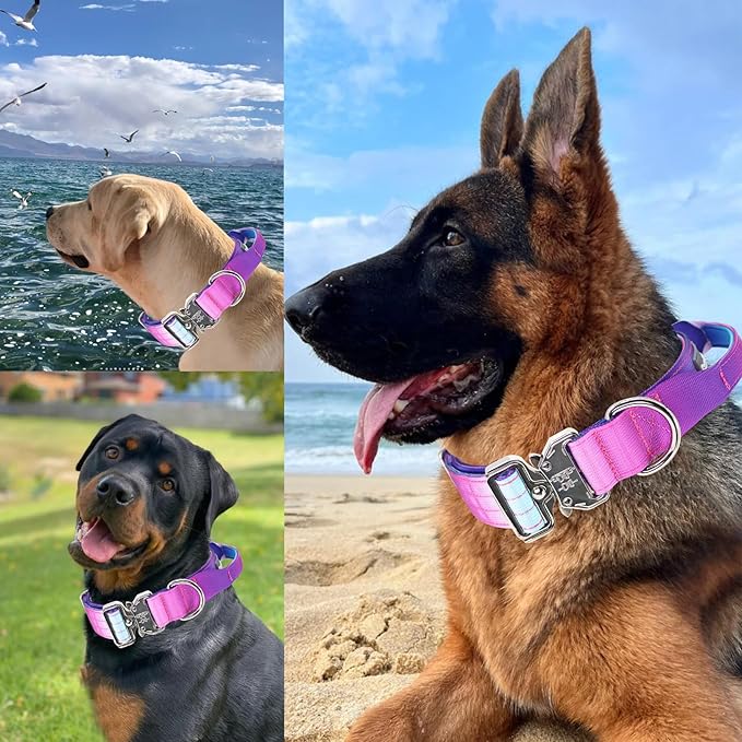 Tactical Dog Collar, 1.5" Wide Thick Heavy Duty Dog Collar with Handle, Soft Neoprene Padded Military-Grade Nylon Training Collar with Quick Release Metal Buckle for Large Dogs(Purple, L,XL)