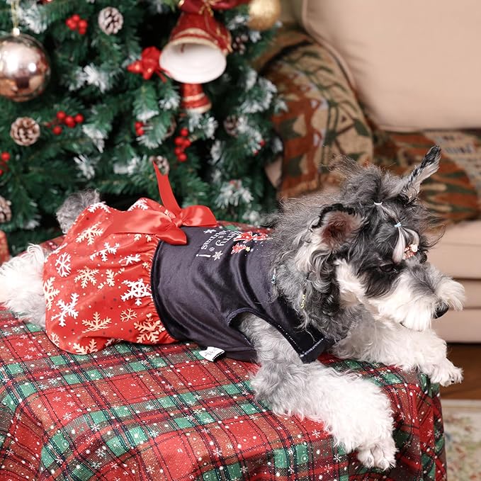 CuteBone Christmas Dog Dresses Velvet Holiday Small Dogs Clothes Onesie Pet Apparel Girl Puppy Skirt with Bow Hair Rope CVA54S-D