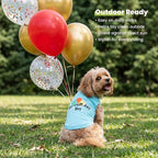 Fitwarm Birthday Boy Dog Shirt, Bir-Ruff-Day Boy Funny Dog Clothes for Small Dogs Boy, Pet Birthday Outfit, Cat Tshirt, 100% Breathable Cotton, Aqua Blue, XXL
