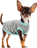 Chic Ion Polyester Dog Vest: Adorable Fashion Apparel for Small, Medium, and Large Breeds, Moisture-Wicking, Soft, Anti-Static, Durable, and Easy-to-Clean Design - Grey 2XL