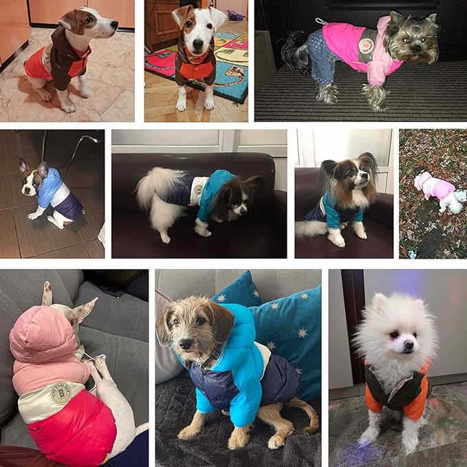 Dog Vest Winter Coat for Small Dogs Boy Girls, Dog Down Jackets Puppy Hoodie Sweatshirt Doggie Hoodie Coat Winter Clothes Pet Hooded Coat Apparel for Chihuahua in Cold Weather,Blue XXL