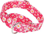 1.5 Inch Martingale Dog Collar - No Pull Daisy Design Nylon Training Collar for Medium, Large & XL Dogs | Heavy Duty Adjustable Choke-Free Collar for Large Breed Pets (Hot Pink Daisy M