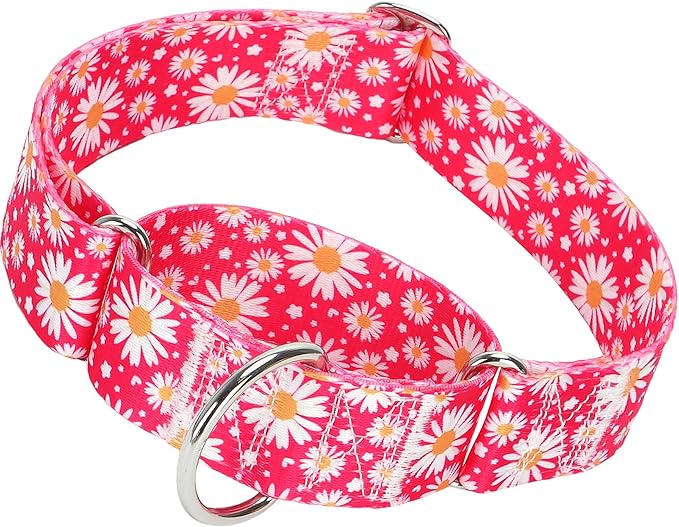 Martingale Dog Collar for Large/X-Large Dogs - Heavy Duty 1.5" Military Grade Nylon Collar with Red Daisy Floral Design, No-Slip Adjustable Training Collar Durable & Stylish (M)