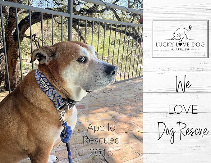 Lucky Love Dog Wide Dog Collar - Adjustable, Durable, Soft Webbing, & Comfortable 1.5 inch Wide Collar for Dogs Male and Female with Strong Buckle - Murphy, Large