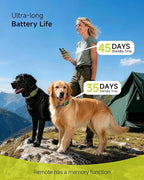Jugbow Shock Collar for 2 Dogs (10-120lbs) - 4200FT Dog Training Collar with Remote, IPX8 Waterproof Electric Collar with 4 Training Modes, Rechargeable E-Collar for Large Medium Small Breeds