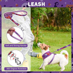 SCENEREAL Halloween Small Dog Harness Collar and Leash Set, Adjustable No Pull Pet Harnesses, No Chock Soft Mesh Vest Costume for Doggie Puppy Dogs Cats Girl Boy Outdoor Walking