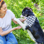 Segarty 30 Pack Pet Scarf, 22.8"x15.7" Washable Triangle Plaid Bibs Dog Bandanas Accessories Bulk for Small Medium Dogs Cats Large Puppy, Adjustable Reversible Boy Pets Birthday Kerchief