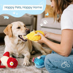 Nocciola Tough Dog Toys, Squeaky Dog Toys to Keep Dogs Busy with Two Resistant Layer & Crinkle Sound, Googly Eyed Fish Gang Puppy Teething Toys for Small, Medium, Large Breeds
