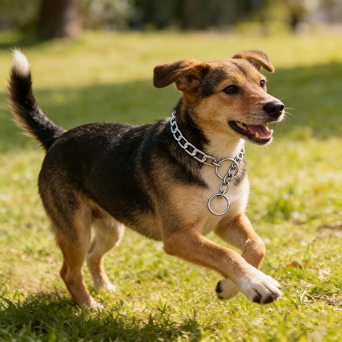 Silver XXS Chain Collar for Dogs Metal Link Training Collar Pet P Slip Puppy Martingale Collars for XXS XS Medium Large Big XL Breed Dogs XXS