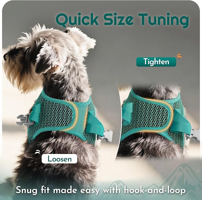 Eagloo Small Dog Harness and Leash Set, Step in Puppy Vest with Breathable Soft Mesh, Walking Reflective Pet Harness for Small Dogs, Forest Green, XXS