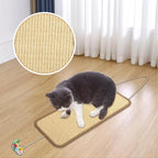 3 Pcs Sisal Door Cat Scratching Mat,7.9"x19.6" Cat Scratching Pad with a Mouse Play Toy-Wall Floor Mount-Double Use Hanging Scratcher with Hemp Rope for Protector Sofa,Wall,Furniture,Floor and Door