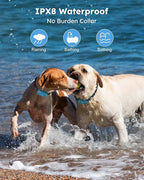 Jugbow Dog Shock Collar 2 Dogs - 4200FT Dog Training Collars with Remote, IPX8 Waterproof E-Collar for Dogs Training Rechargeable e-Collars for Large Medium Small Dogs (10-120lbs)