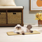 SAFAVIEH Cat Scratch Mat Pad Collection, 10" x 24", Light Brown, Sisal Boucle Weave, Velcro & Slip Resistant Backing