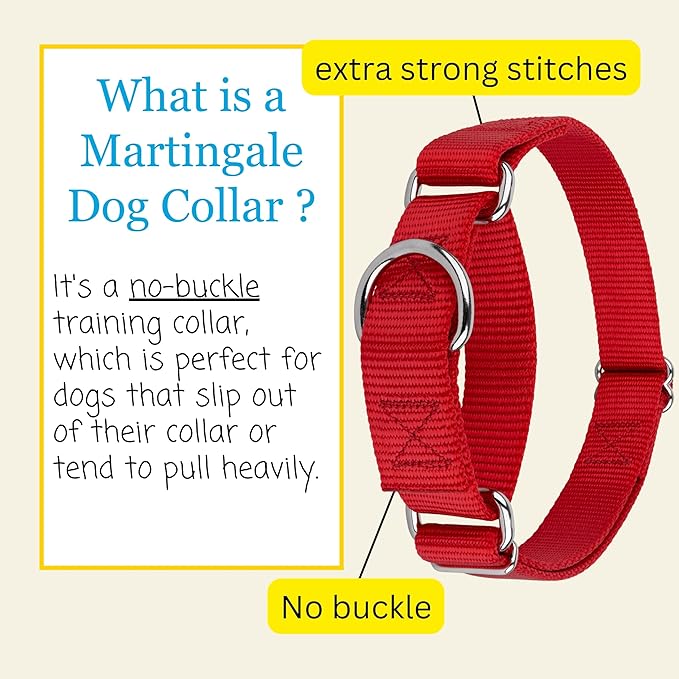 Country Brook Petz - Martingale Dog Collar - Heavy-Duty Training Collar with No Buckle - Service Dog Collar for All Pups - 10+ Warm Colors (Red, 1 Inch, Medium)