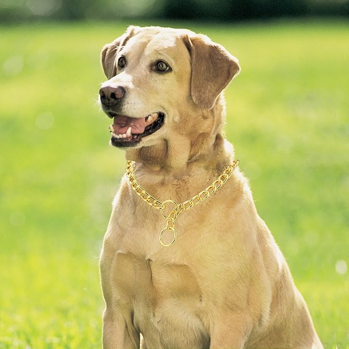 Mogoko Stainless Steel Dog Choke Chain Collar, Puppy Metal P Chain Slip Collar Pet Training Walking Choker(Gold; 3.5mm;22.0 Inch)
