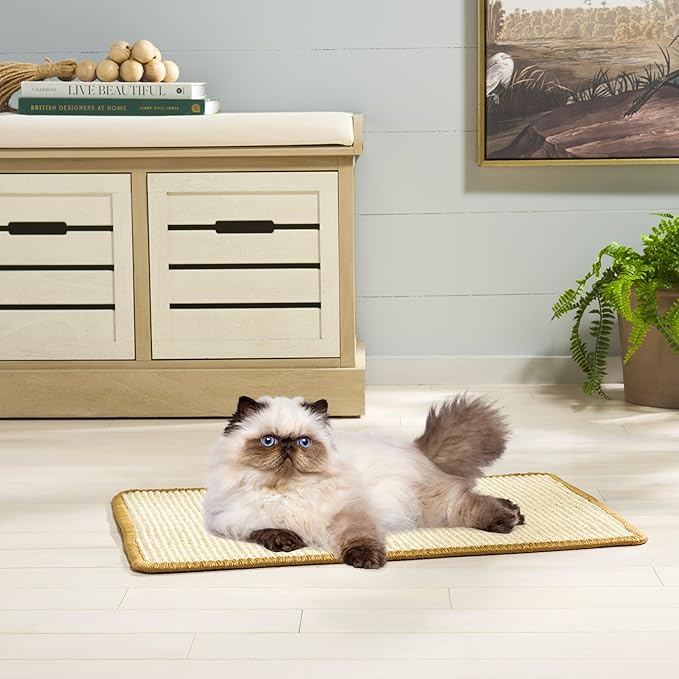 SAFAVIEH Cat Scratch Mat Pad Collection, 16" x 24", Beige, Sisal & Jute Boucle Weave, Velcro & Slip Resistant Backing