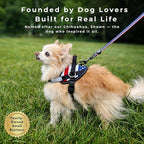 ShawnCo Essential Dog Harness, No-Pull Pet Vest with 3 Leash Clips, No Choke, Reflective, Adjustable and Padded, for Easy Walking and Training for Small, Medium and Large Dogs (Stars and Stripes, M)