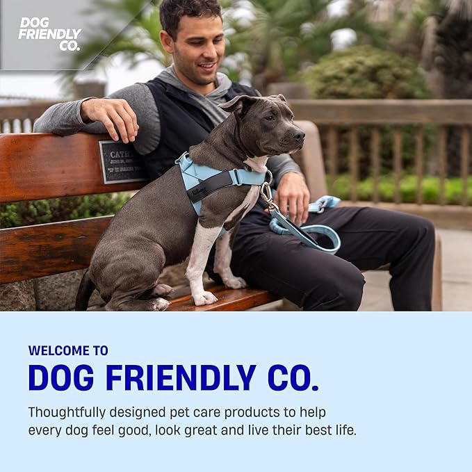 DF Co. Dog Harness | Chafe Resistant Webbing, Adjustable Neck & Chest, and Heavy Duty D-Ring | Sturdy, Comfortable, Easy to Use | Black, Size L