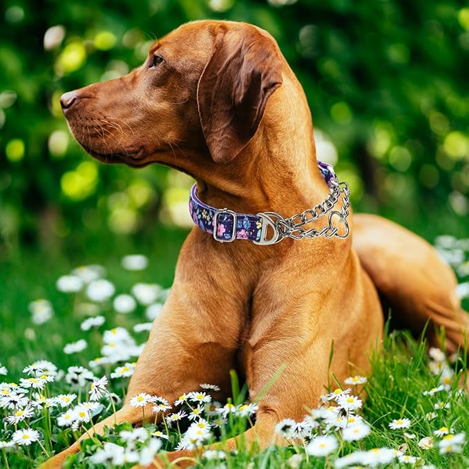 Reflective Martingale Dog Collar with Chain - Comfortable & Safe Choke Dog Collar for Medium Large Extra Large and XXL Dogs Trainer Recommended Collar (Purple Flowers XXL)