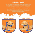 Heather's Heroes The Sidekick No-Pull Leash Blue