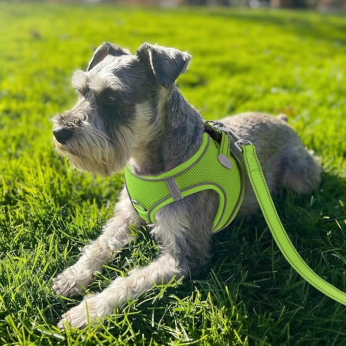 Joytale Small Dog Harness, Breathable Mesh Step-in Vest, Reflective Soft Padded Harnesses Small Sized Dog for Walking, Green, S