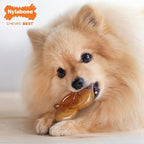 Nylabone Pretzel Power Chew Toy for Dogs, Dog Toys for Aggressive Chewers, Bacon & Peanut Butter Flavor, Small Dogs - Up to 25 Ibs, 1 Count
