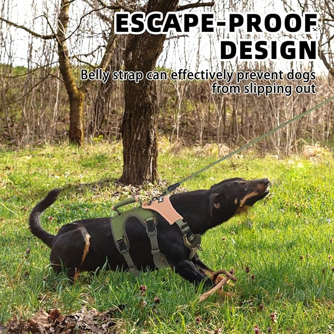 PUPTECK Escape Proof Dog Harness and Leash Set Upgraded No Pull Reflective Dog Vest with Lift Handle, Easy Control Pet Harness for Medium Large Dogs Training Walking Running, Green, XL