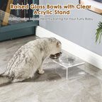 Elevated Acrylic Pet Bowl Stand – Raised Cat & Dog Bowls with 2 Glass & 2 Stainless Steel Bowls, Modern Clear Design, Non-Slip, Easy to Clean, Perfect for Small Pets, 3.75" Tall