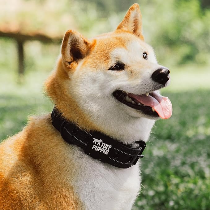 Tuff Pupper Heavy Duty Tactical Dog Collar | 1.5" Wide Ballistic Nylon | Reflective Stitching | Integrated ID Tag Holder | Stainless Steel Buckle | Padded Lining | Medium & Large Dogs (Black, Medium)