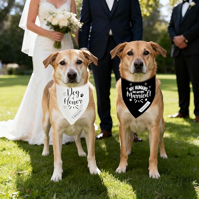 Realeaf My Humans are Getting Married Dog of Honor Dog Bandana,Wedding Outfit for Boy and Girl, Premium Durable Fabric, Engagement Announcement for Large and XLarge Dogs (X-Large)