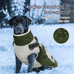 IECOii Dog Coat with Harness Built in - Green, Large - Waterproof Winter Coat, Fleece Lined Snow Jacket for Dogs