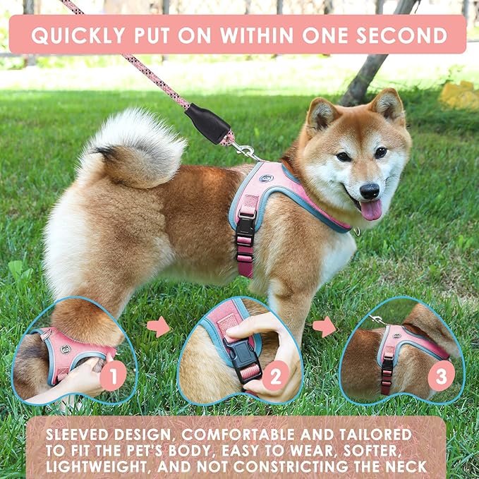 Dog Harness and Leash Set, No Pull Saddle Style Pet Harness, Breathable Mesh Adjustable Reflective Dog Vest for Dogs and Cat Medium Small Harness 2 D-Rings (Pink, L)