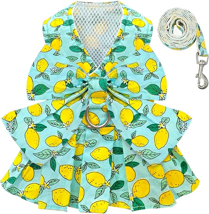 BAEJMJK Dog Dress Bowknot Harness Leash Set for Small Dogs Cats Girl Floral Princess Dog Dresses Cute Puppy Fruit Clothes Pet Doggy Outfits Spring Summer Breathable Dresses(Green,X-Small)