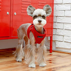 PUPPIA International PUAH305WNSM Soft Harness B Vest, Small, Wine Red