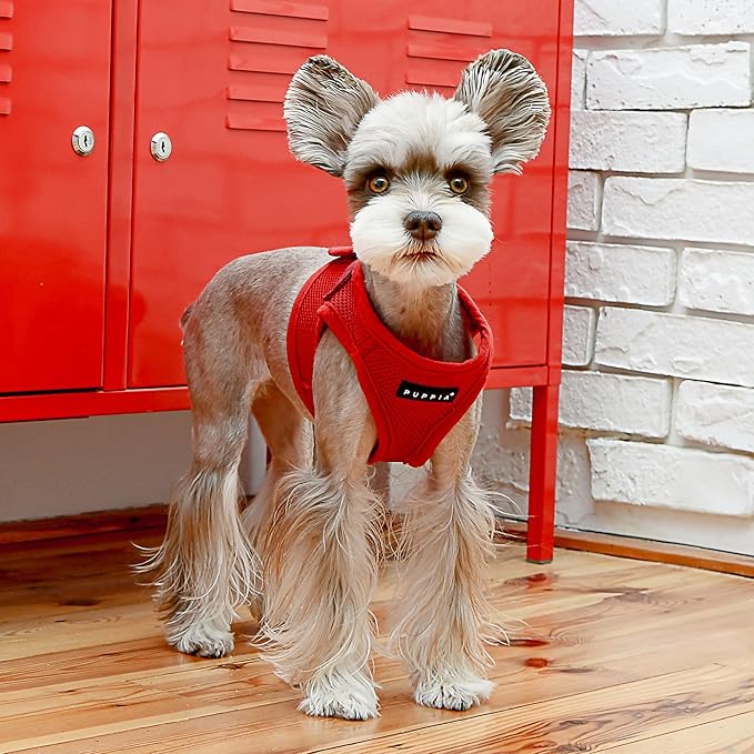 PUPPIA International PUAH305WNSM Soft Harness B Vest, Small, Wine Red
