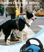 Joytale No Pull Dog Harness for Small Dogs, Reflective Pet Vest with Front Clip, Adjustable Soft Padded Harnesses with Easy Control Handle for Training and Walking, Sky Blue, S