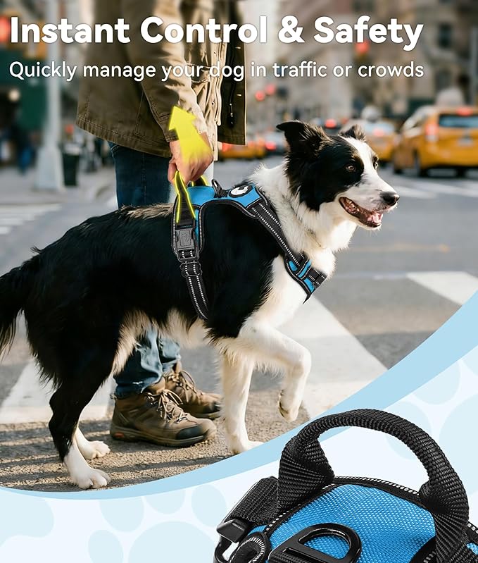 Joytale No Pull Dog Harness for Large Dogs, Reflective Pet Vest with Front Clip, Adjustable Soft Padded Harnesses with Easy Control Handle for Training and Walking, Sky Blue, L