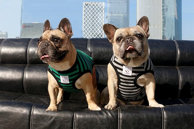 iChoue Pug 100% Breathable Cotton Striped T Shirts Halloween Vest Clothes for Medium Dogs Tank Tops Puppy French Bulldog Frenchie English Boston Terrier Pitbull Green Black Stripes - Small