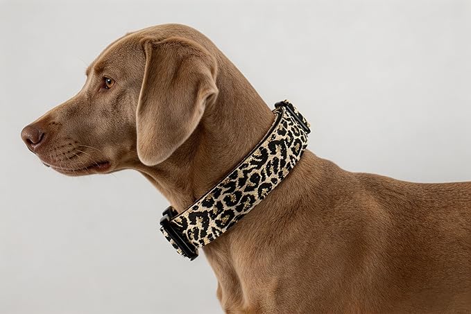Heavy Duty Dog Collar with Unique Leopard Totem Design Adjustable Durable Nylon Collar, Metal Buckle for Large Dogs Bold Style for Training & Outdoor Adventures (Gold Leopard S)