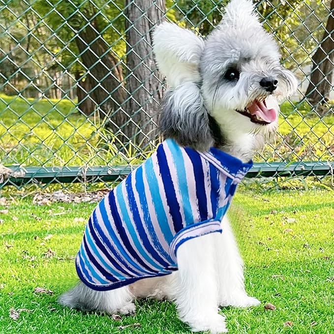 PET SHOW 4 Pack Paw Bone Printed Dog Clothes Shirts Soft Vest Lightweight Sleeveless Cats Doggies T-Shirts Puppies Tank Top Tee for Small Medium Dogs White Black Pink Blue (Large, Blue for Boys)
