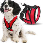 Gooby Comfort X Head In Harness - Red, X-Large - No Pull Small Dog Harness, Patented Choke-Free X Frame - Perfect on the Go Dog Harness for Medium Dogs No Pull or Small Dogs for Indoor and Outdoor Use