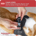 Downtown Pet Supply Step-in Dog Harness – No Pull, Adjustable Padded Mesh with Reflective Trim, Secure Buckle Strap – Comfortable & Breathable Small Dog Harness, XX-Small, Charcoal