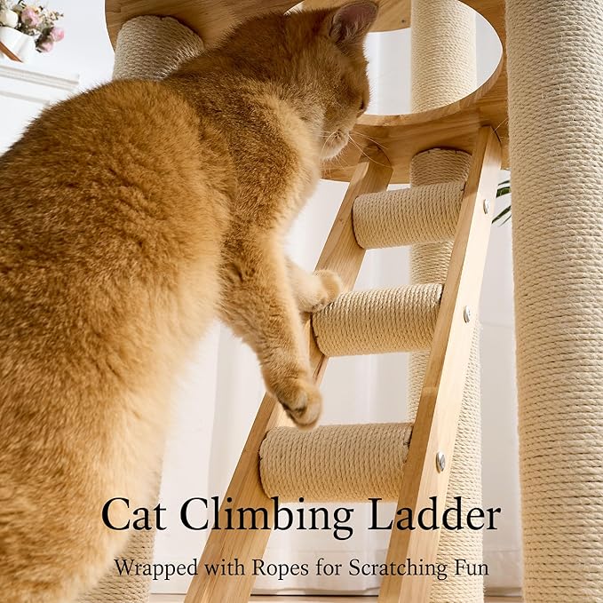 797Audio Wood Modern Cat Tree, 61.5" Tall Cat Tower with Sisal Scratching Posts, Cat Condo, Capsule and Ladder, Solid Wooden Aesthetic Multi-Level Cat Climbing Tree for Large Adult Indoor Cats