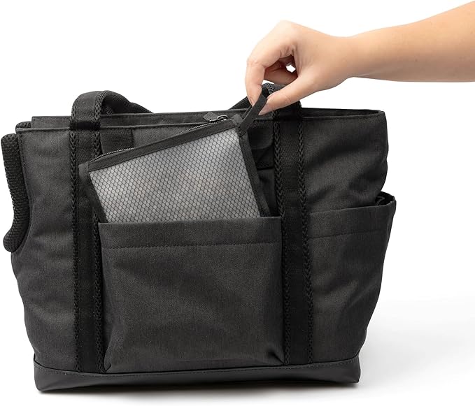 Cleverpup Transit Tote Dog Carrier for Small Dogs up to 8 lbs, 16x11x8 Soft-Sided 4-Pc Set with Waterproof Base, Plush Insert, Food Pouch, Mesh Head Opening - Small, Graphite Graphite