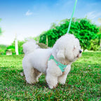 Hipubby Dog Harness and Leash Set, No Pull Soft Mesh Puppy Harness for Small Medium Dogs, Cats - Step in Reflective Breathable Lightweight Vest Harness for Walking, Training - Green, S